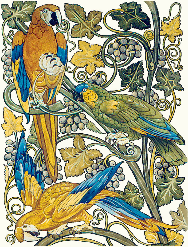 William De Morgan 8x6 border tile on cream background.  Parrots were considered appropriate pets for women, especially lonely women, in the 19th century, as an outlet for their emotions. 